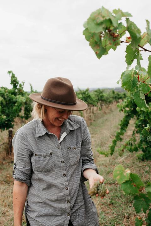 Yeates Wines