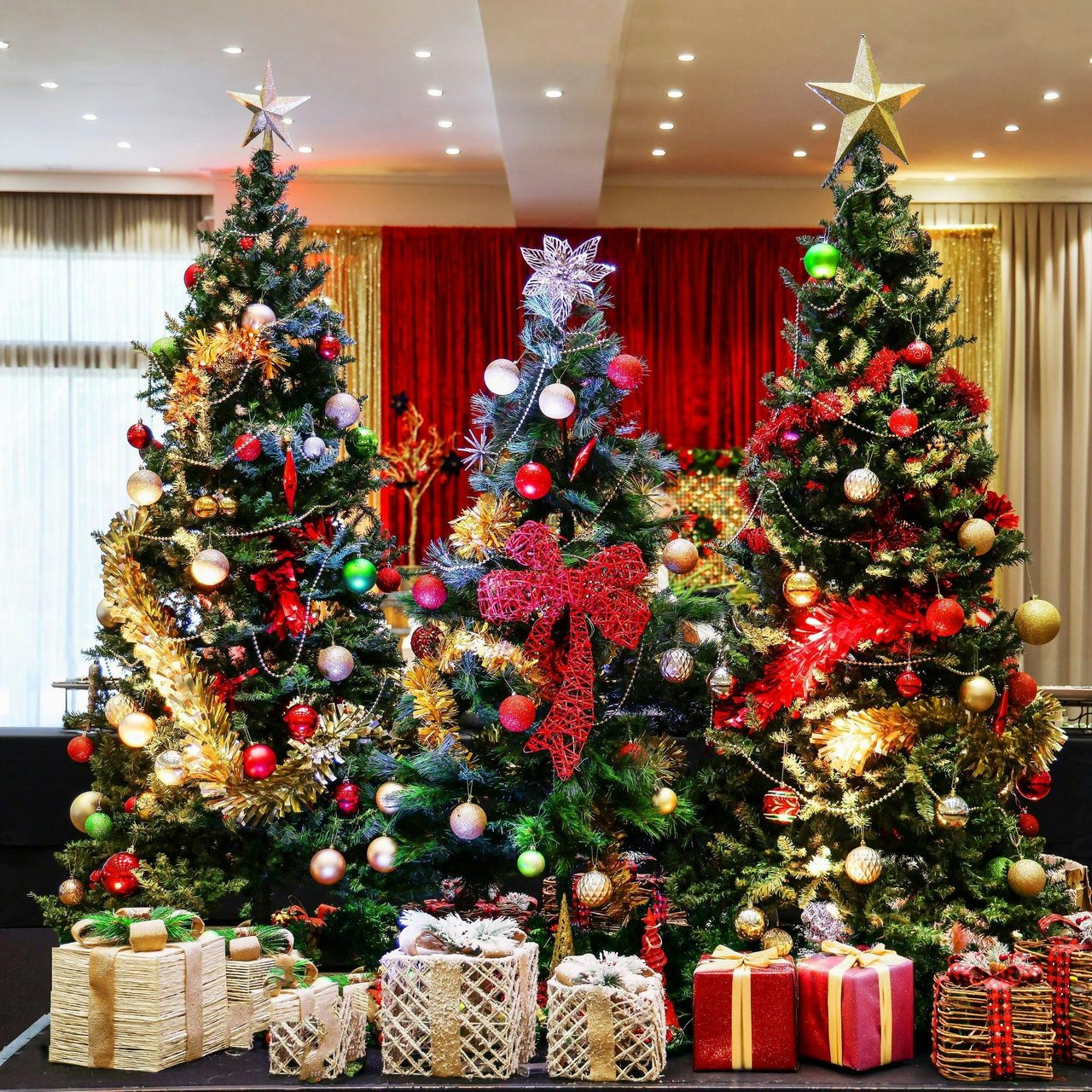 Christmas Trees