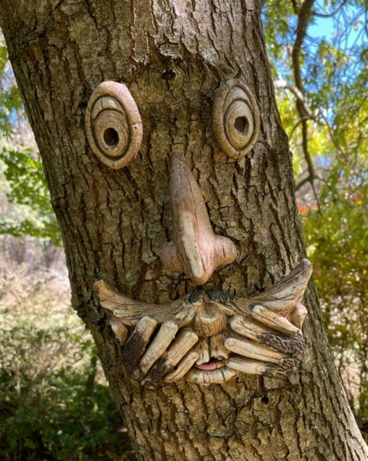 A Crazy Tree