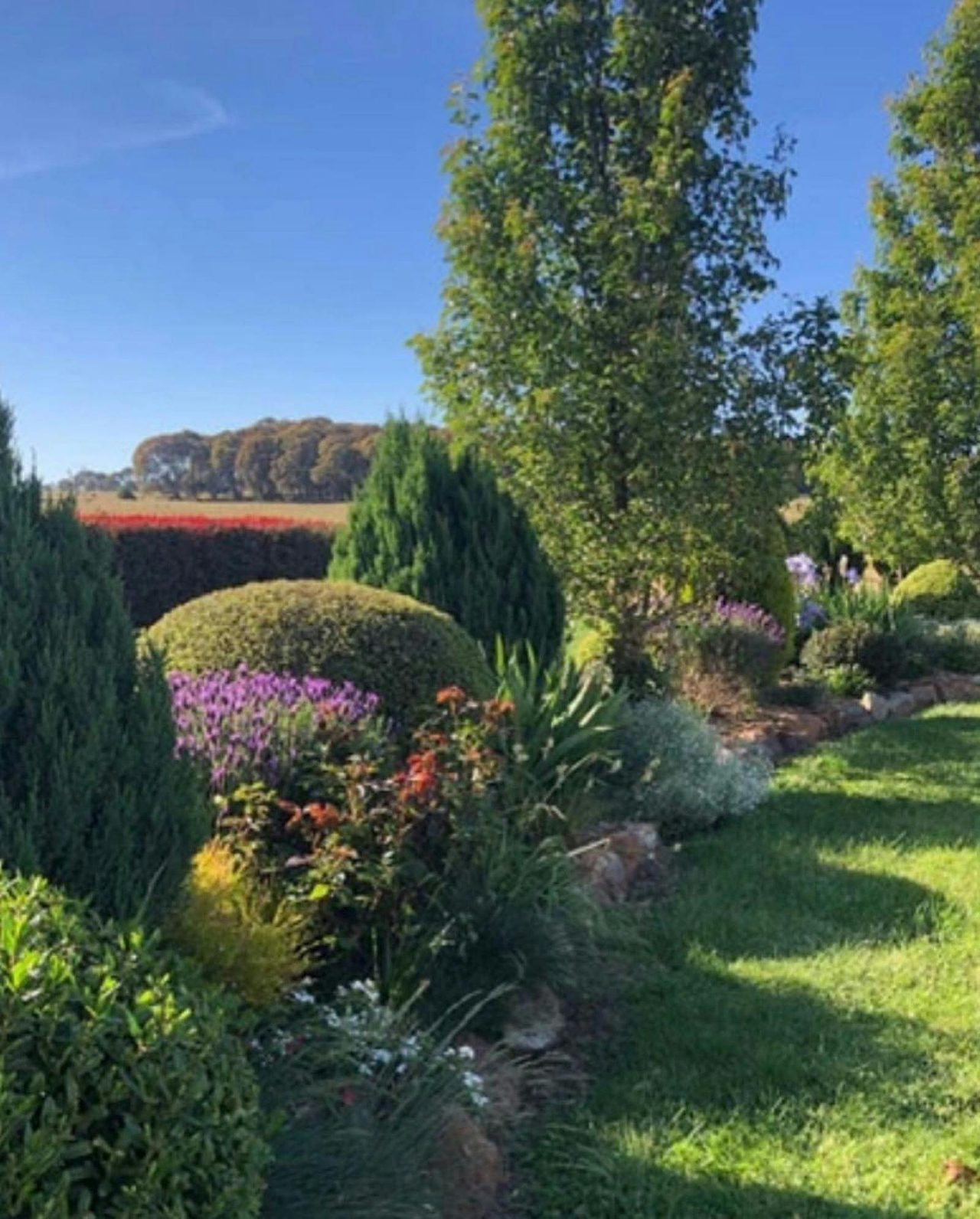 Country Garden