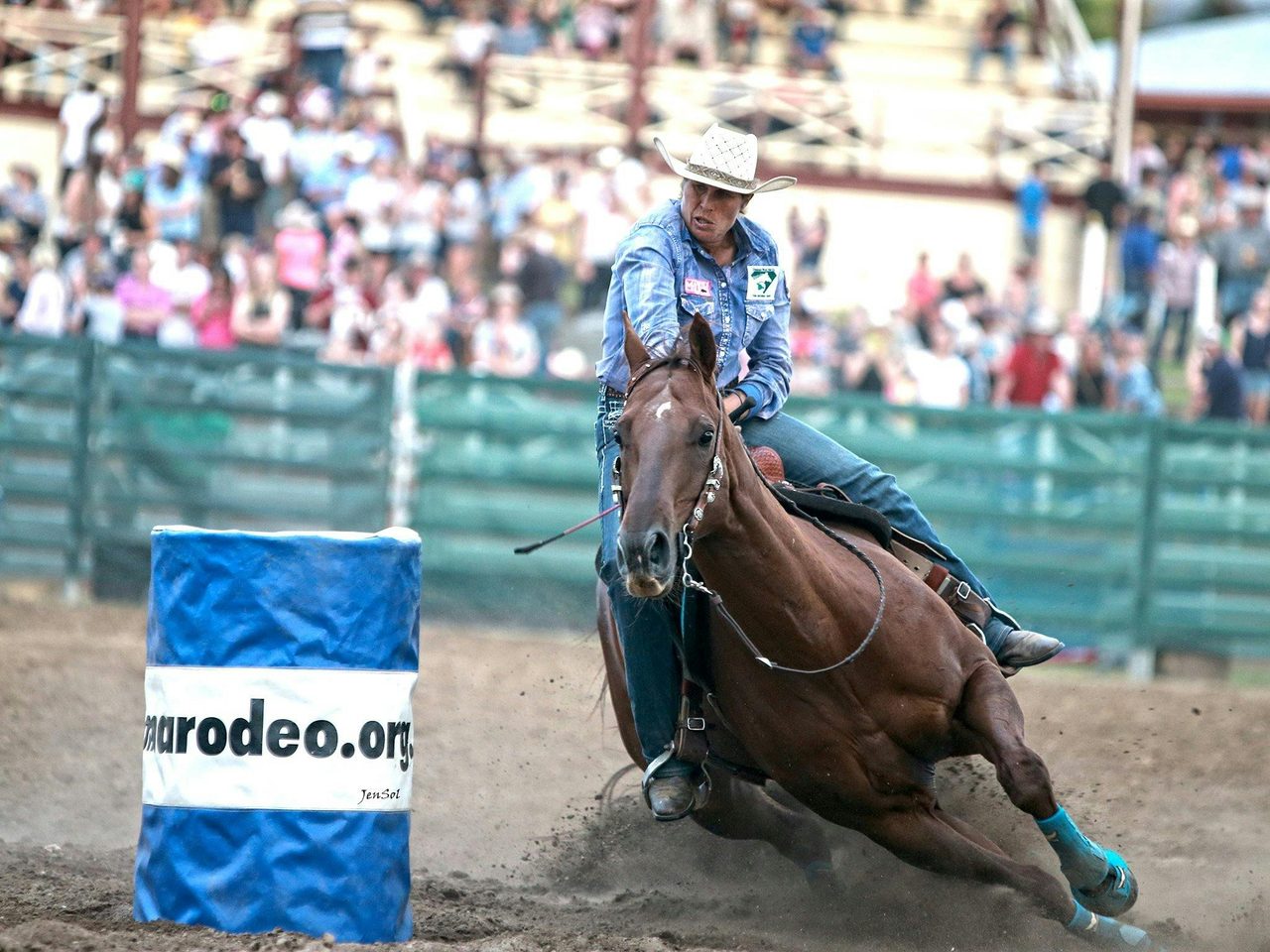 Ladies Barrel Race