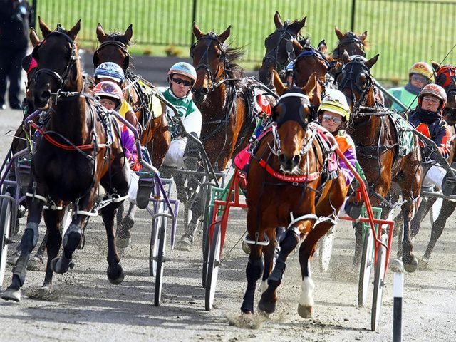 Alabar Gold Crown Carnival