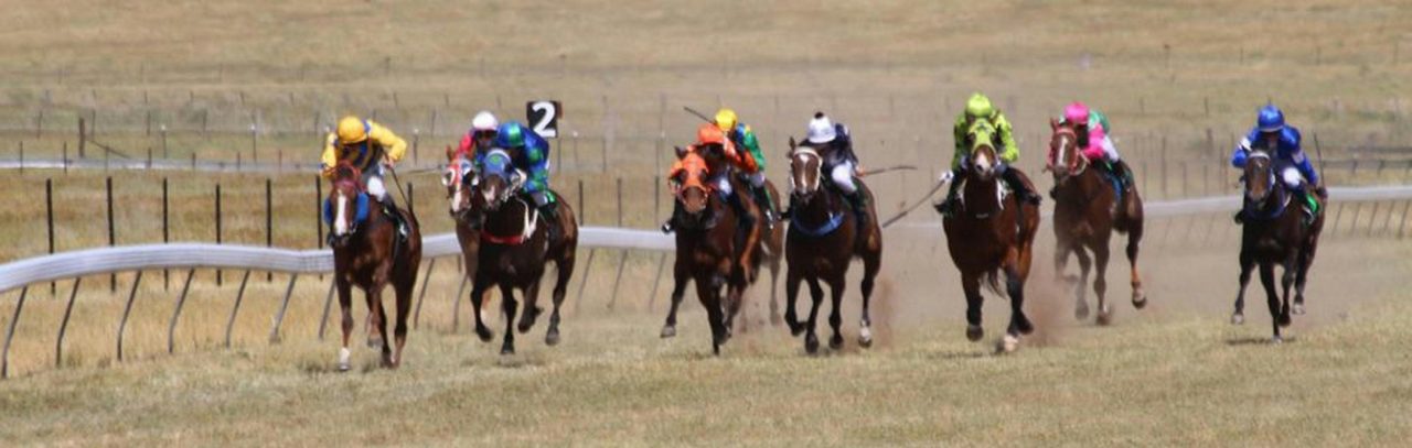 Adaminaby Races Facebook page