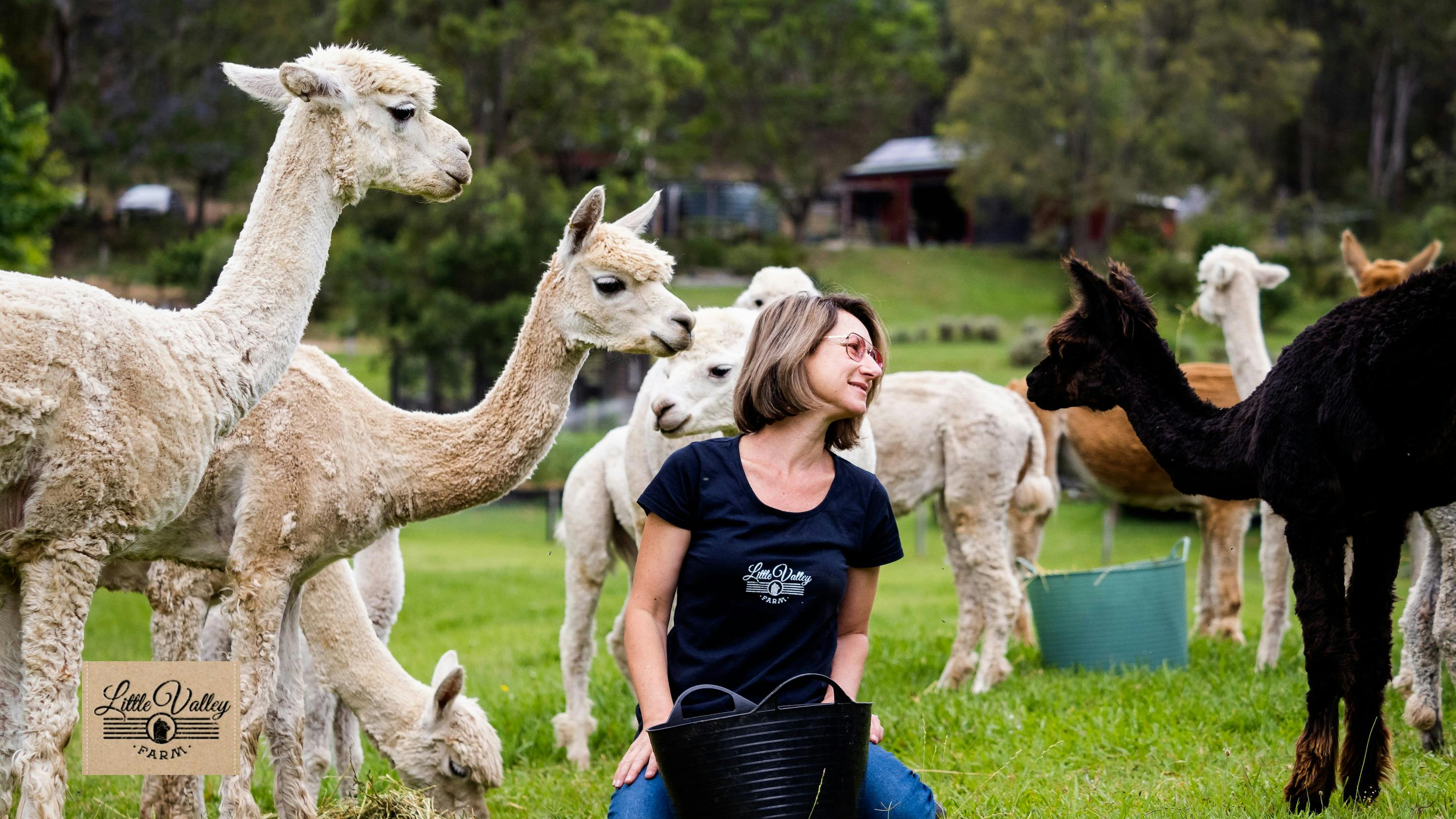 Daniela at Little Valley Farm