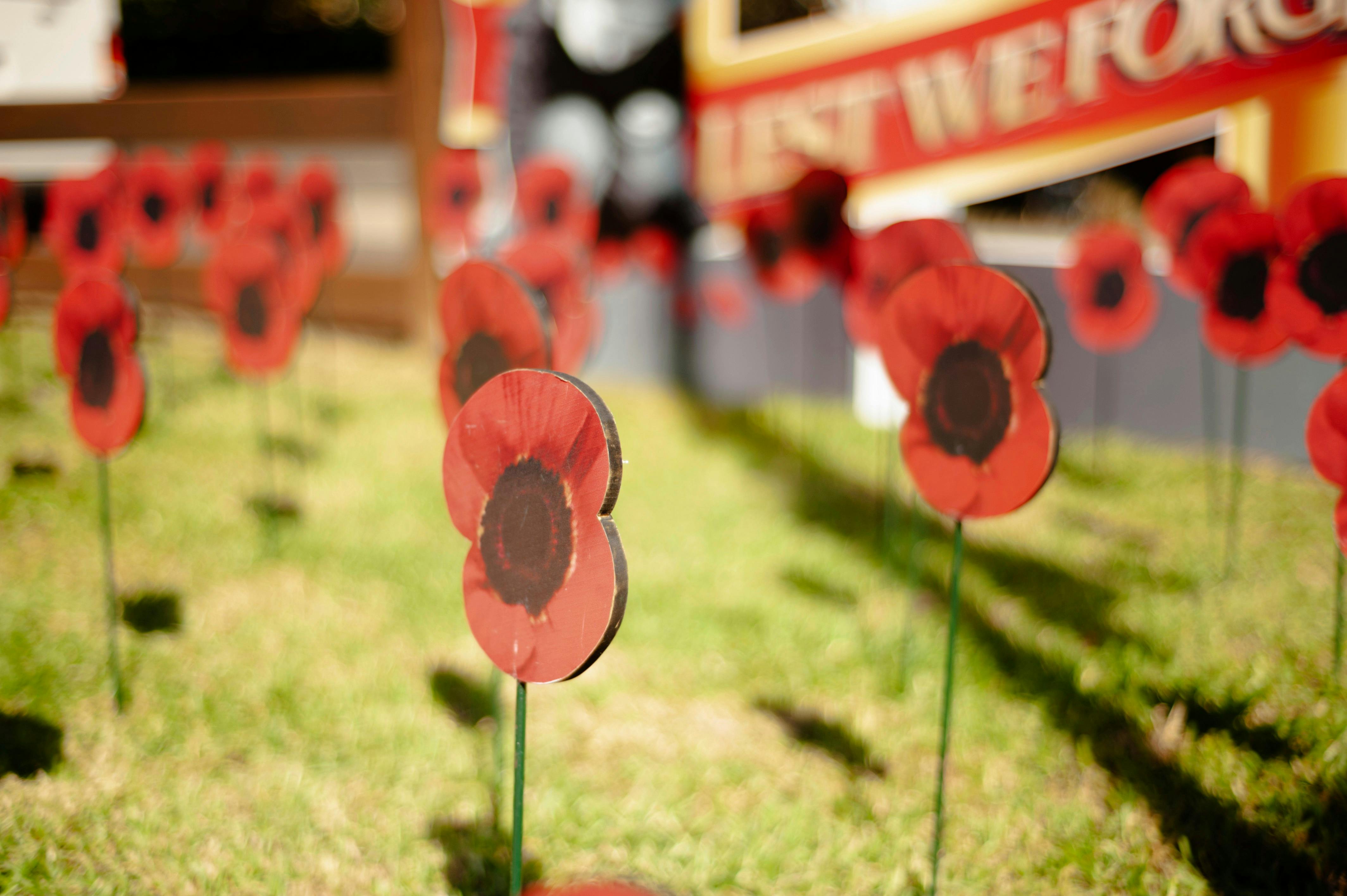 Poppy flowers at Gunnedah Anzac Day Services