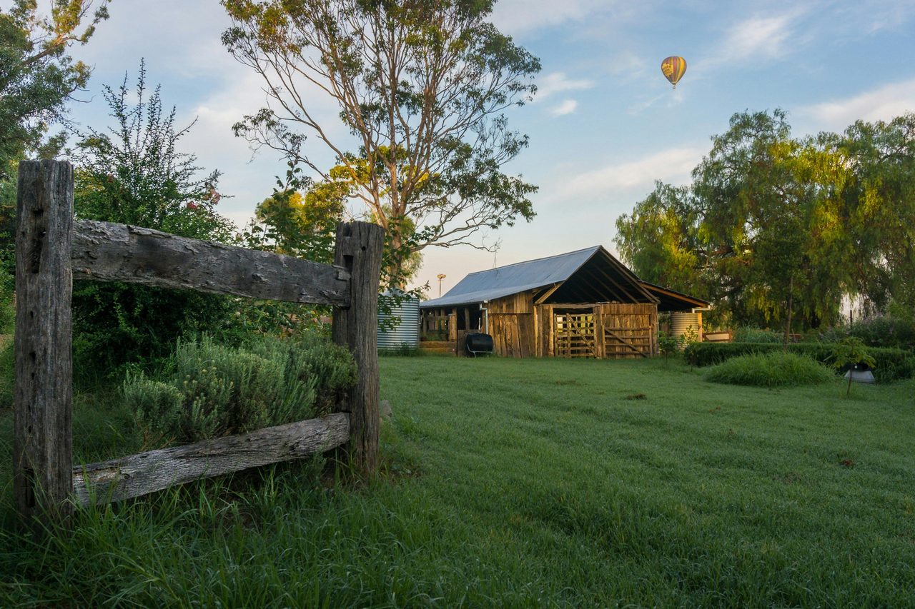 Camden Town Farm