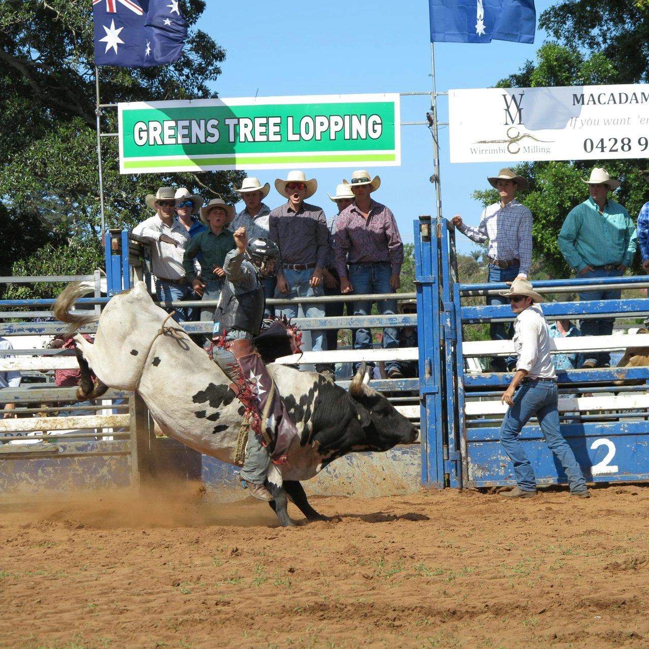 Alstonville Agricultural Show
