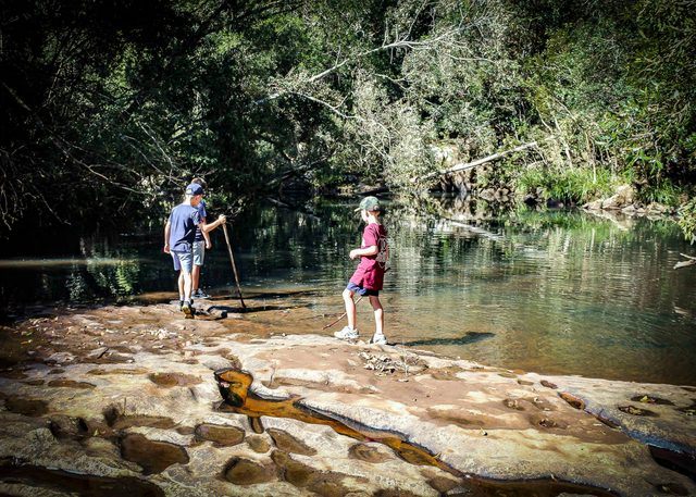 Cascade Walking Track,  Kerewong State Forest