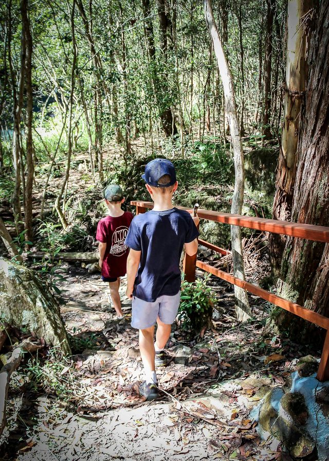 Cascade Walking Track,  Kerewong State Forest