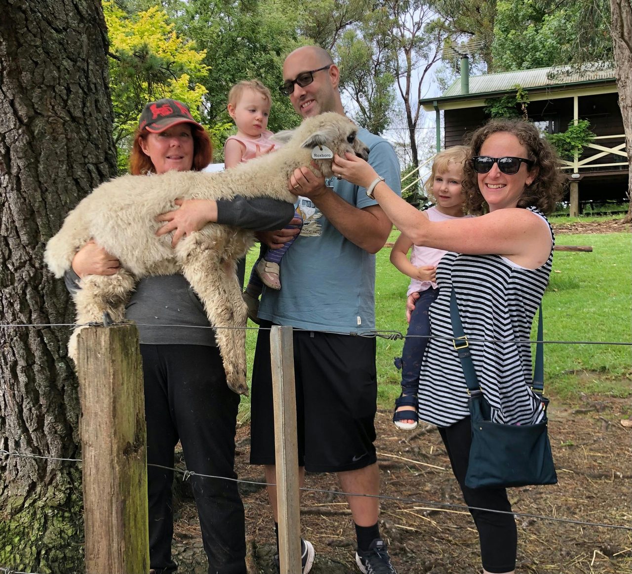 Alpaca Experience at Madisons Mountain Retreat