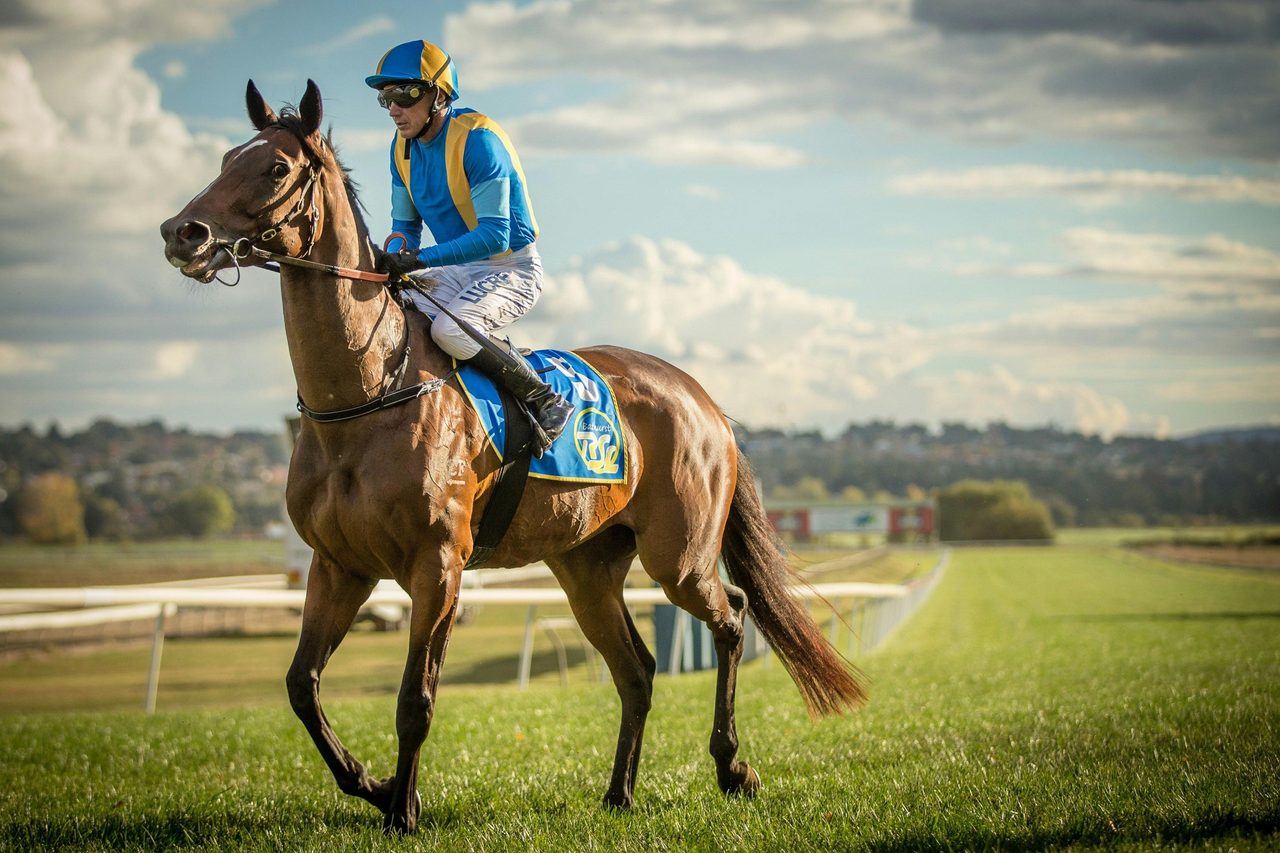 Bathurst Thoroughbred Racing