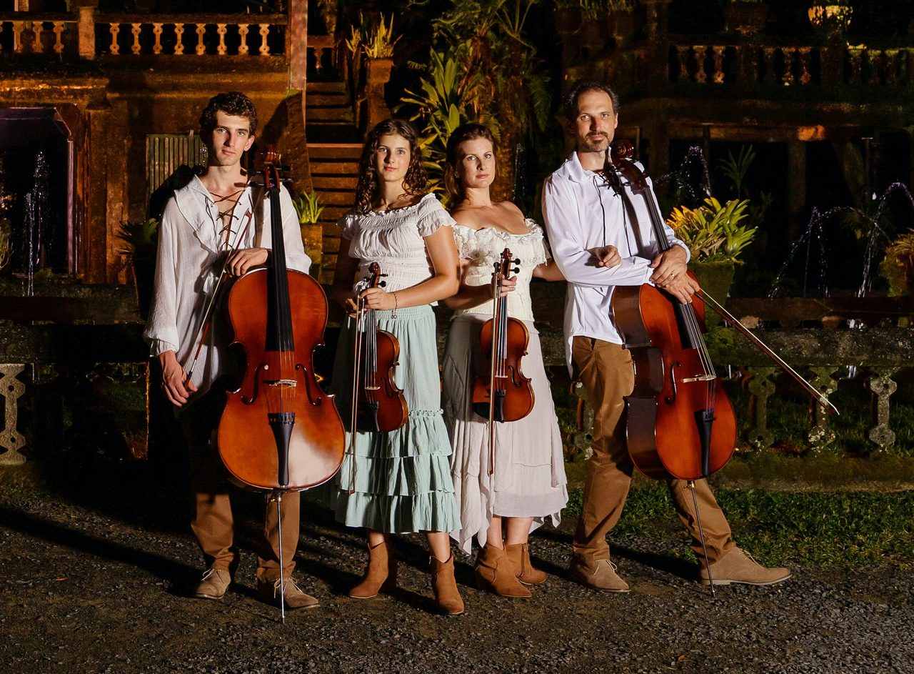 The String Family Band