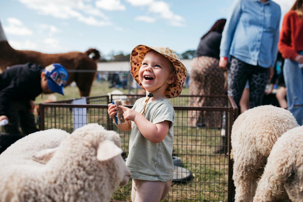 Petting Zoo at Apple Pie Day