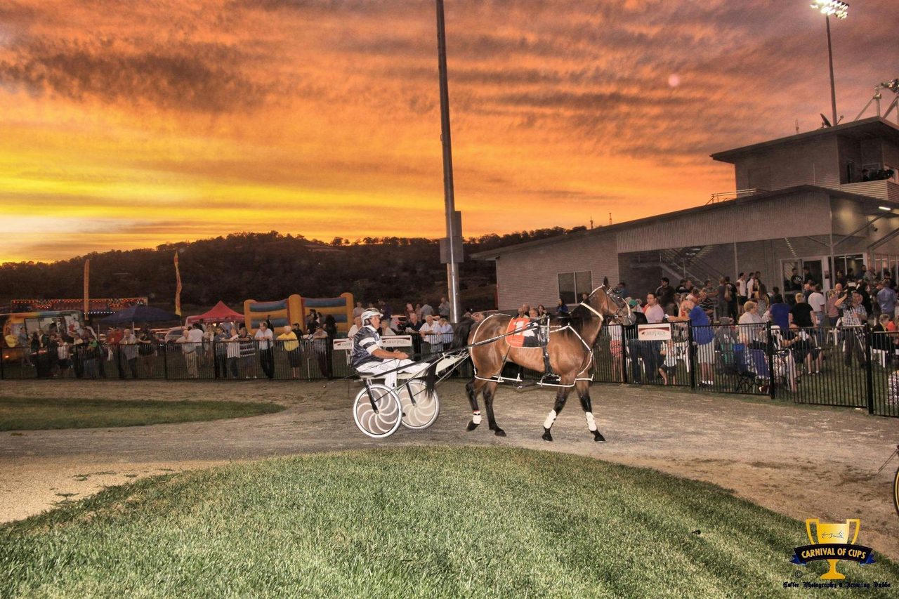 Parade Ring at sunset
