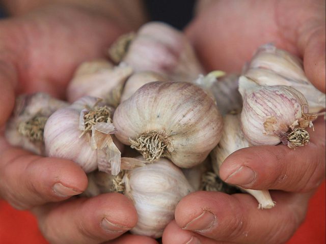 Armidale Farmers' Market
