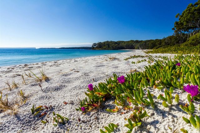 Captains Beach