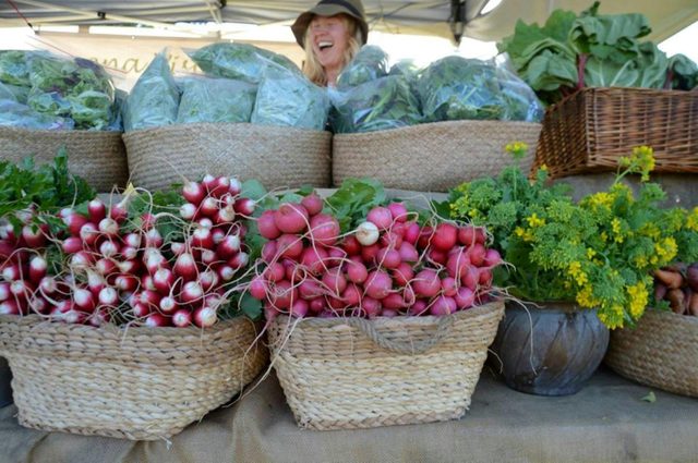 Berry Farmers' Market