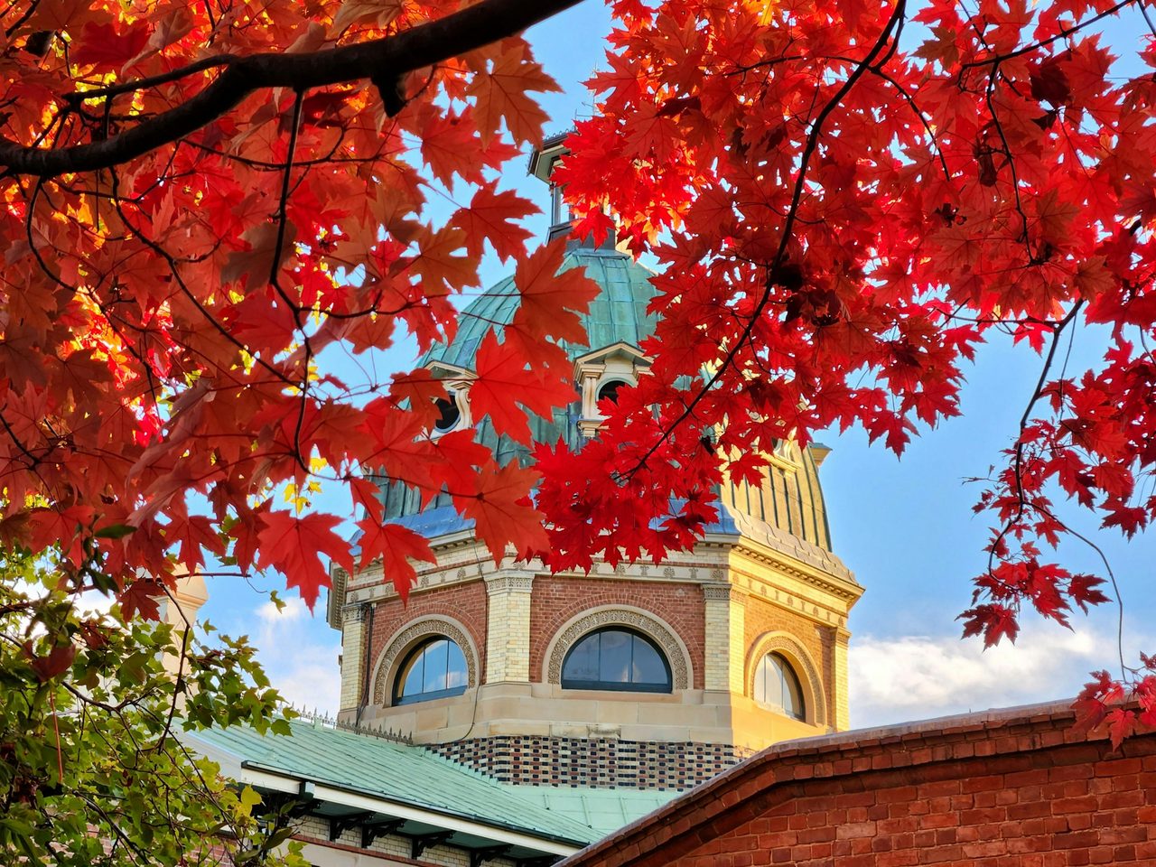Autumn Colours