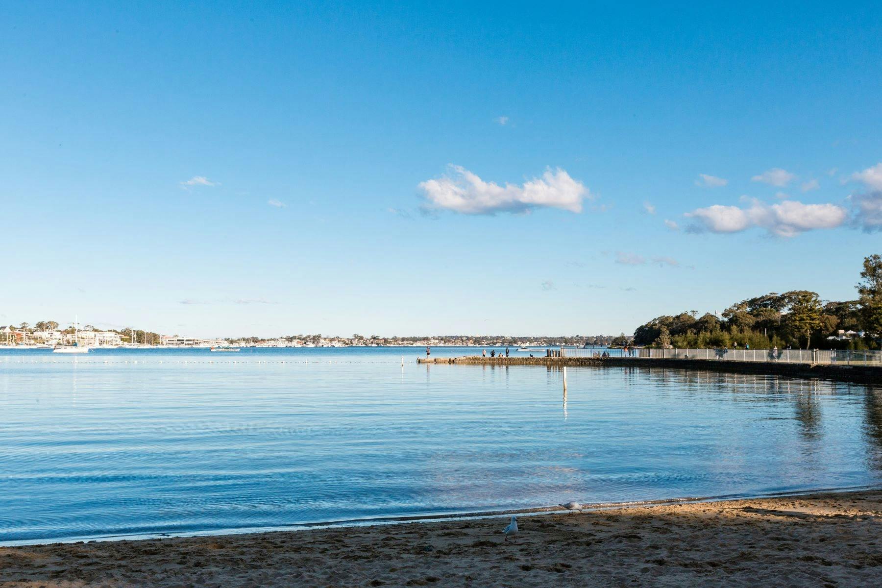 The serene river seen from Carss Bush Park