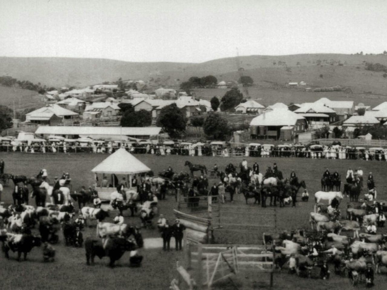 Bangalow Show