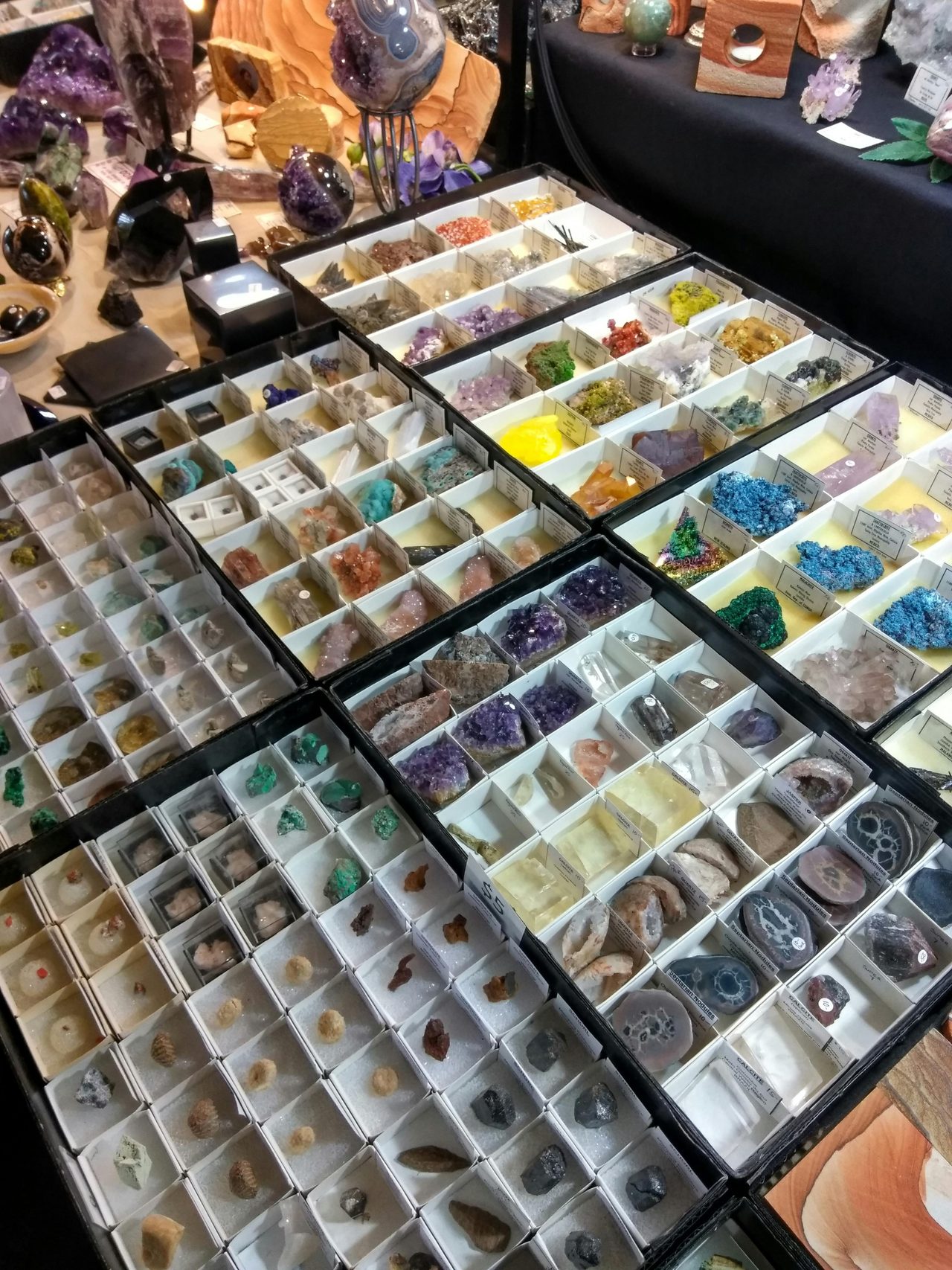 Minerals for new collectors to museum collectors.