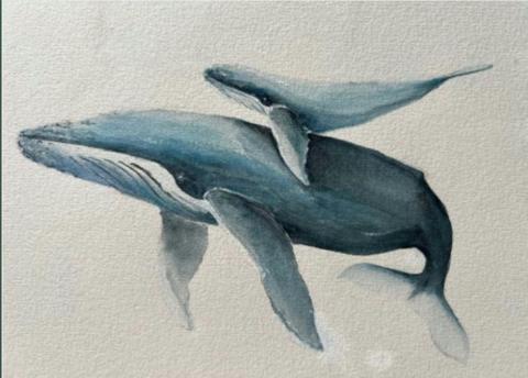 Ballina Art Society Exhibition