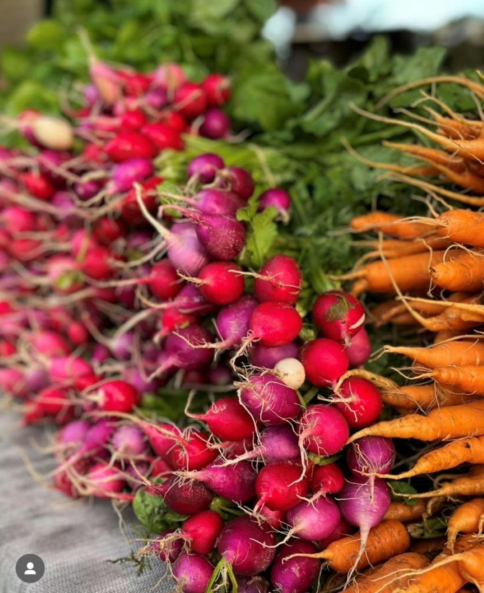 Ballina Farmers and Producers Market