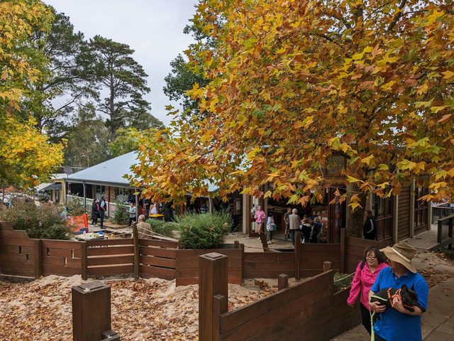 Berrima Schoolyard Markets