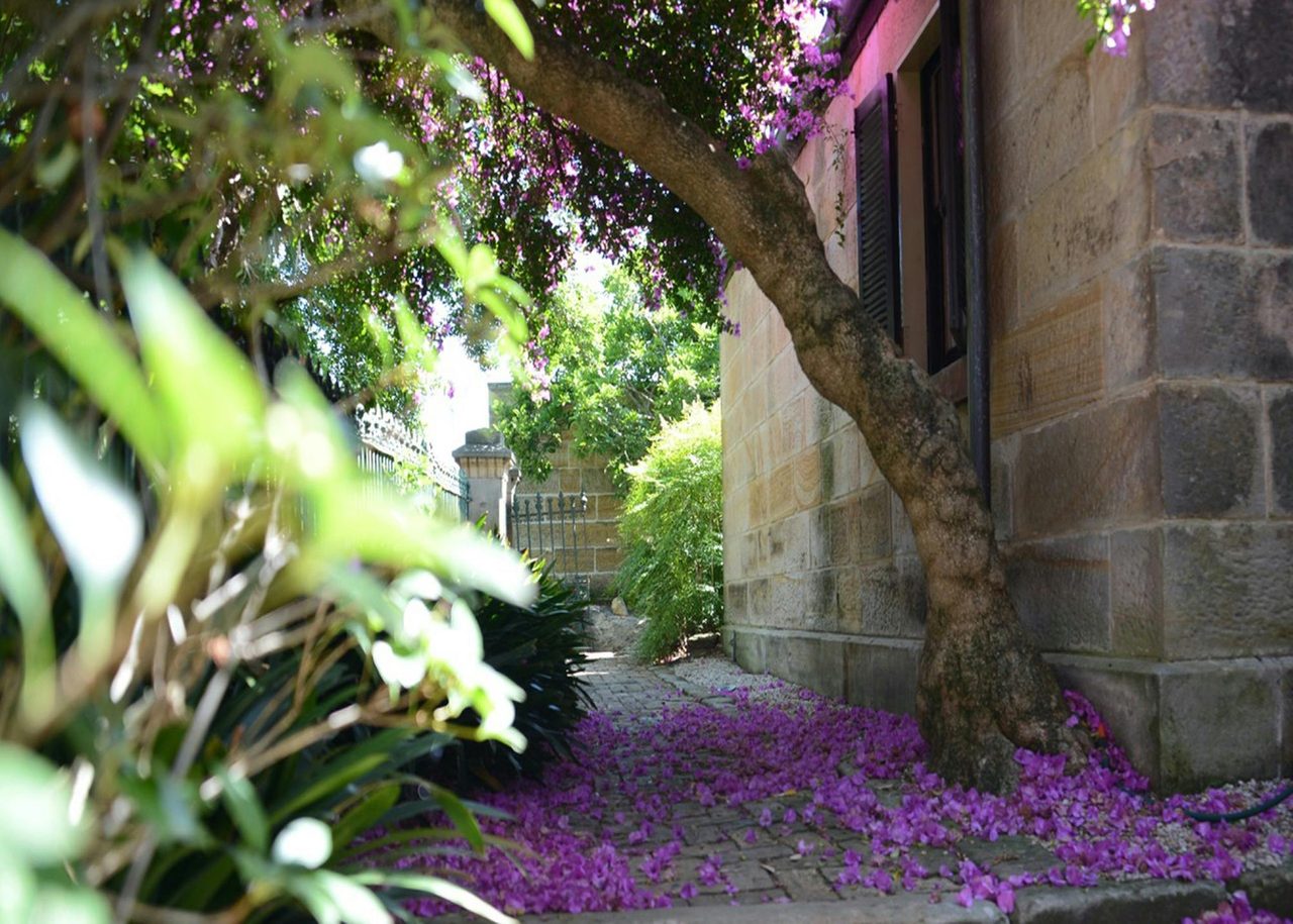 Side view of Carisbrook House