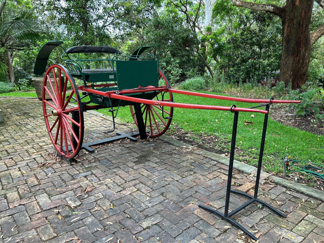 The buggy waiting to take the Brooks family for a ride