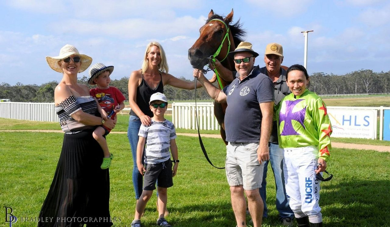 Winning horse after race