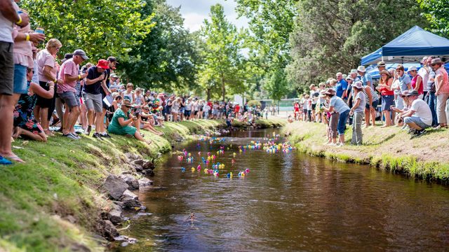 Bendigo Bank Tumbafest