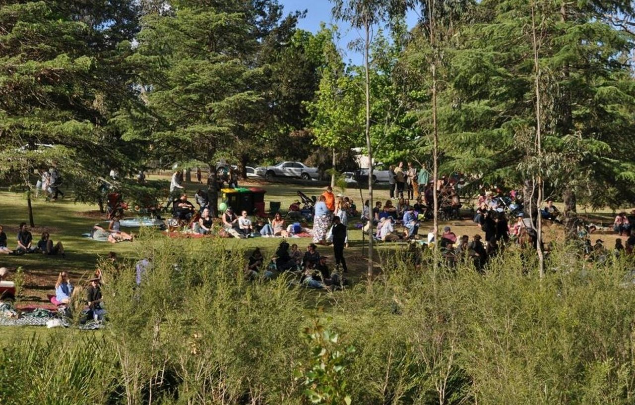 Black Gully Festival