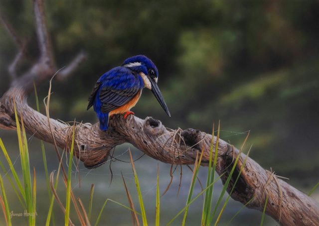 Bird and Brush Art Exhibition