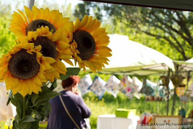 Blackville Arts and Market Day