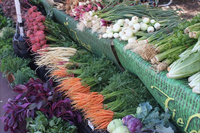 Bondi Farmers Market