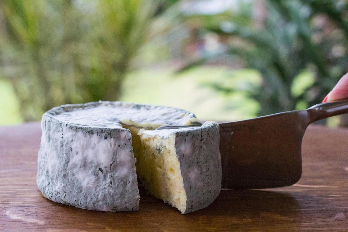 Blue Cheese