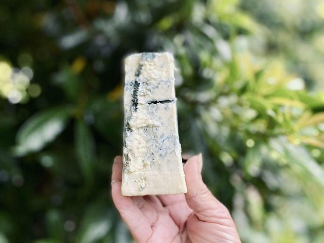 Blue by You Cheesemaking Class