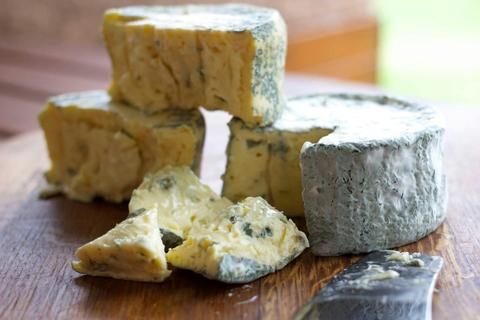 Blue by U Cheesemaking Class
