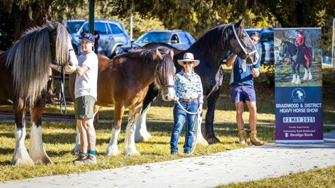 Braidwood and District Heavy Horse Show