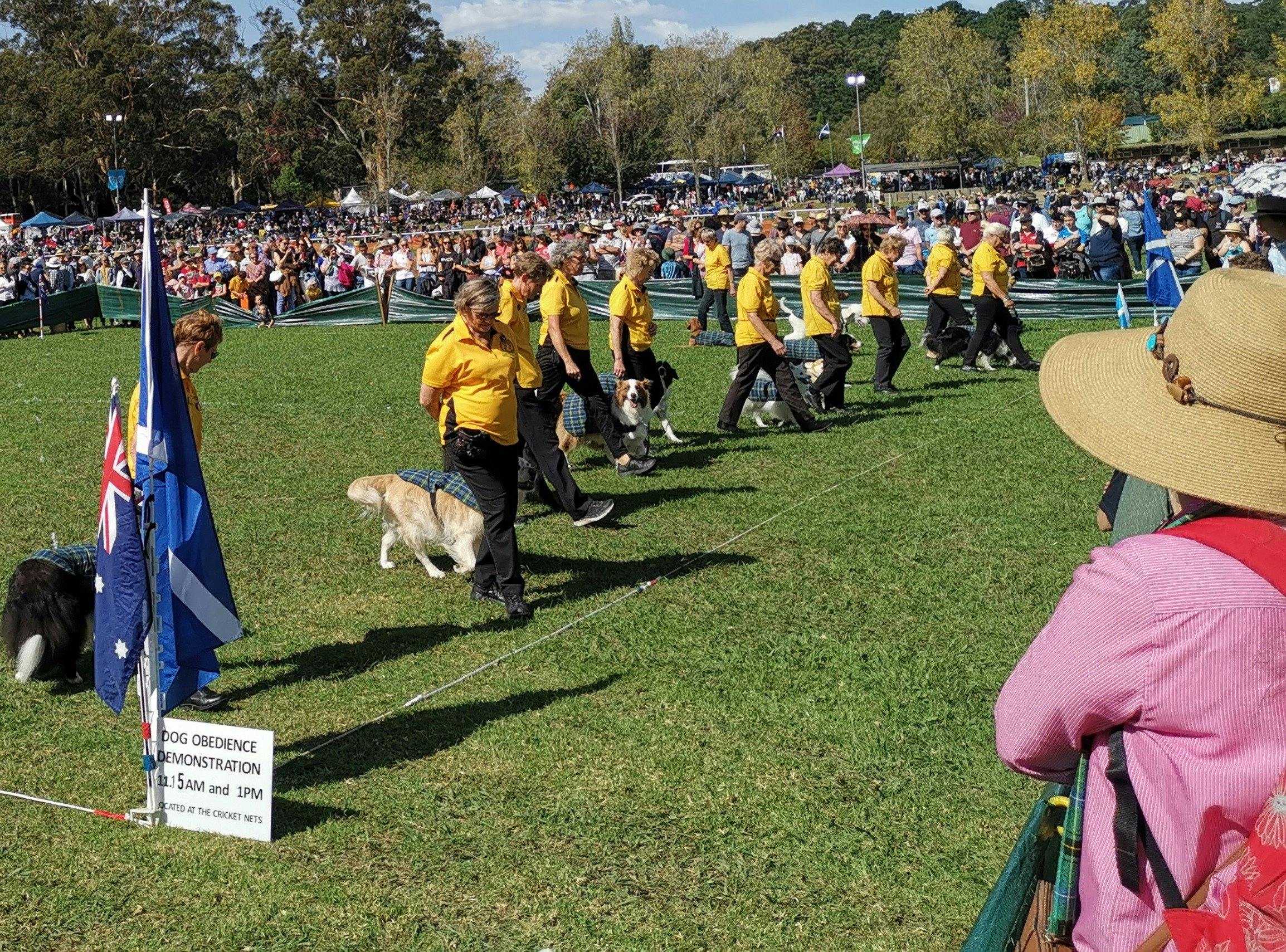 Southern Highland Dog Obedience