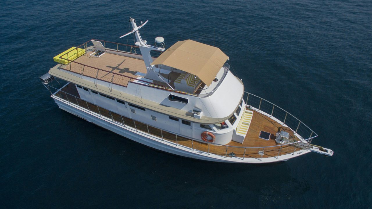 Boxing Day Cruise on Silver Spirit Sydney
