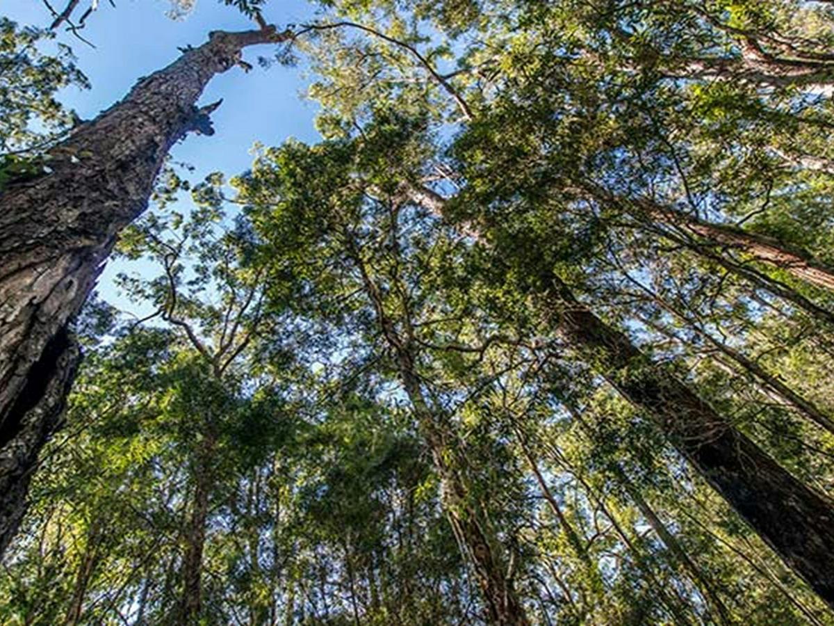 Brimbin Nature Reserve. Photo: John Spencer/OEH
