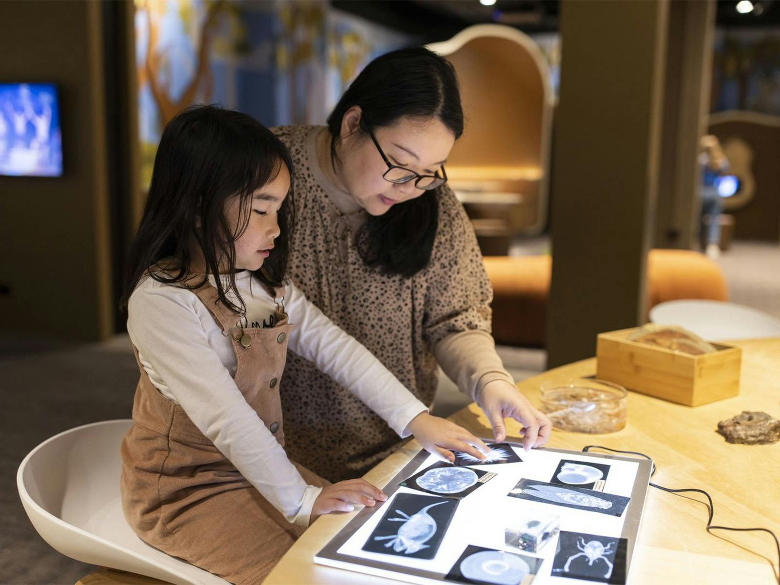 Burra, a learning and play space at the Australian Musuem. Free entry.
