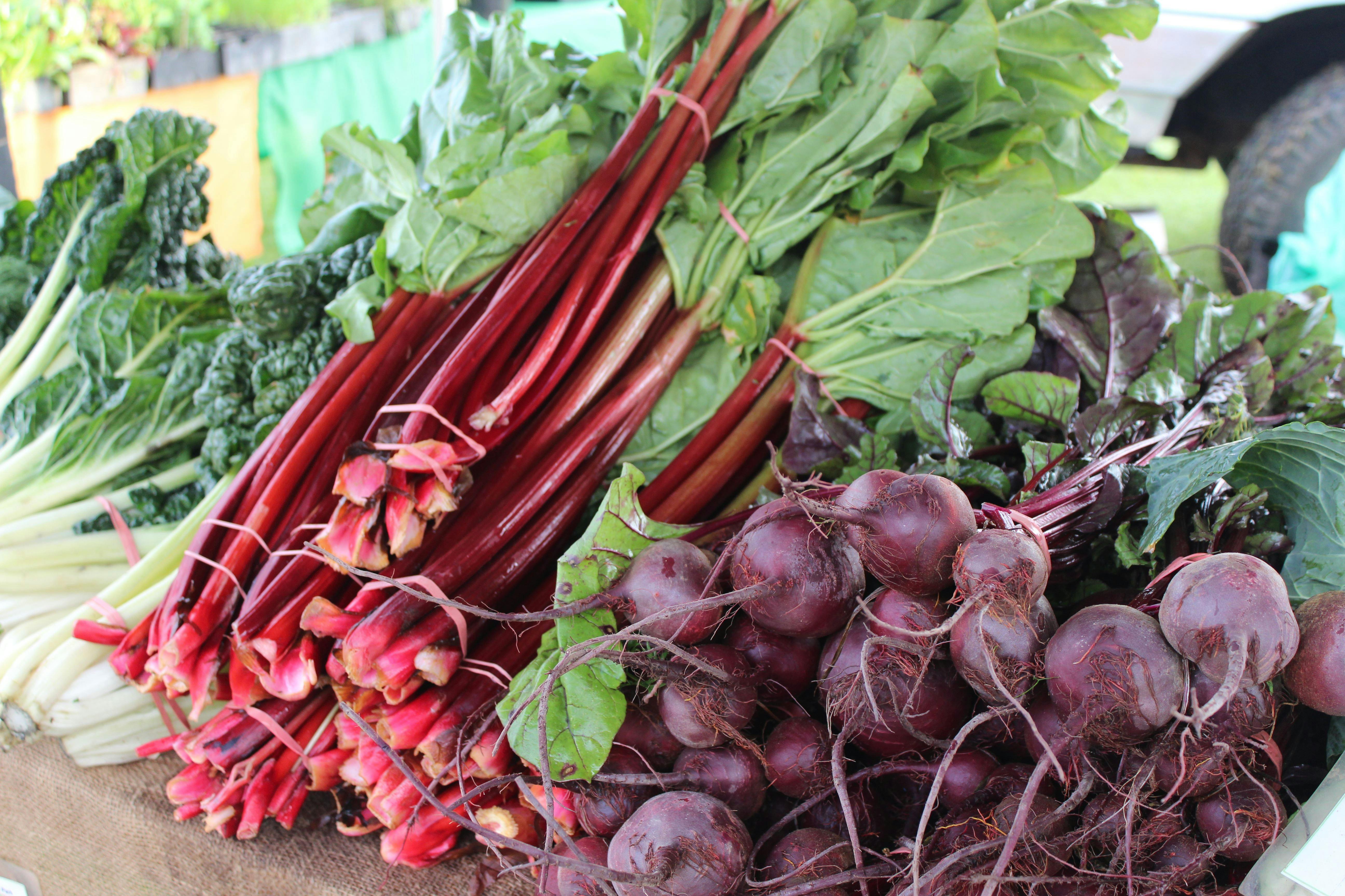 Camden Fresh Produce Market