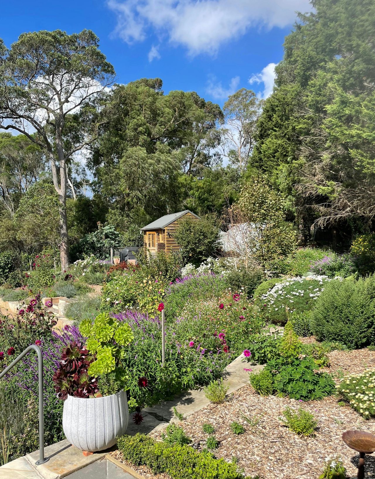 Garden view