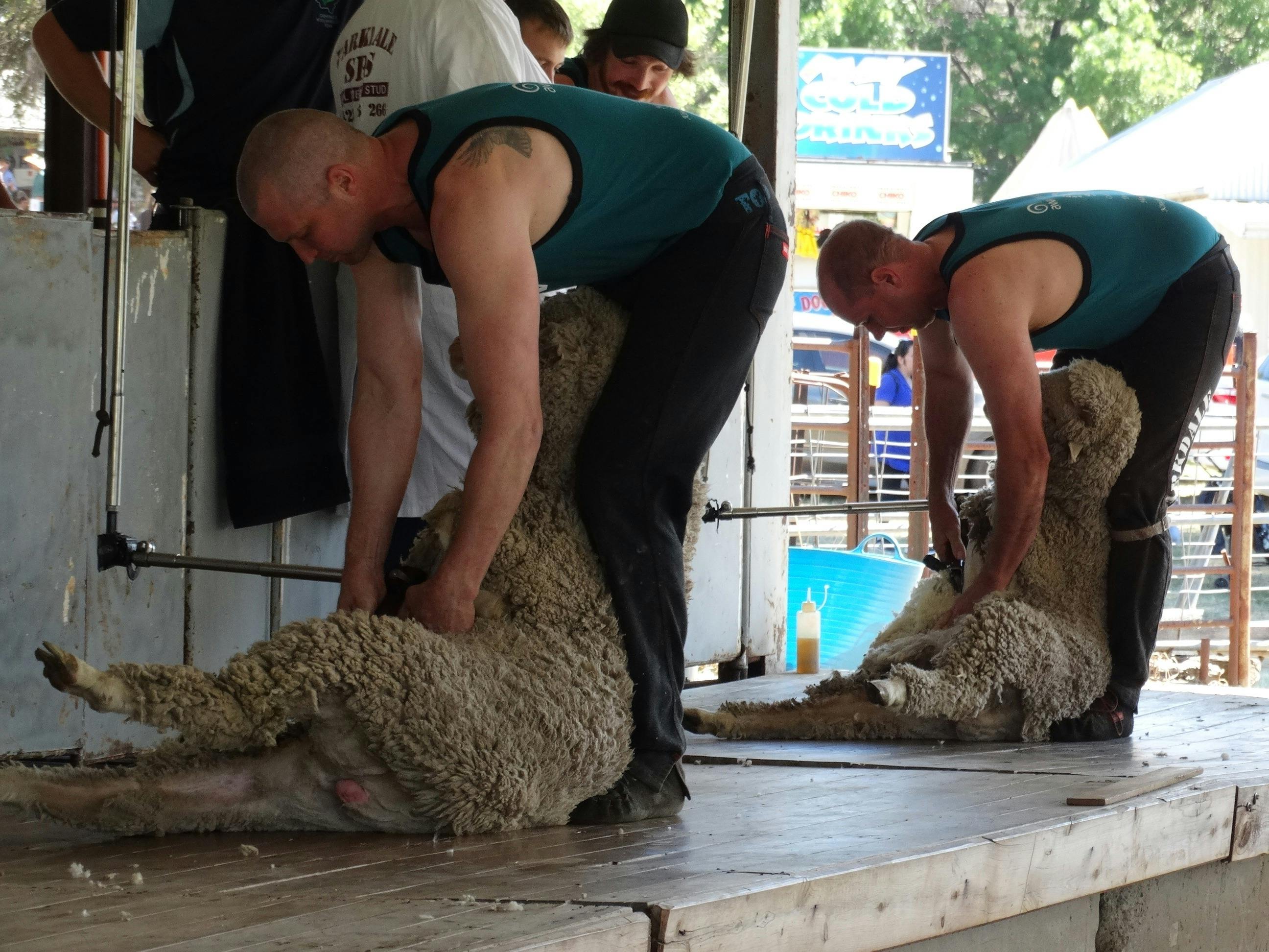 Sports Shear competition