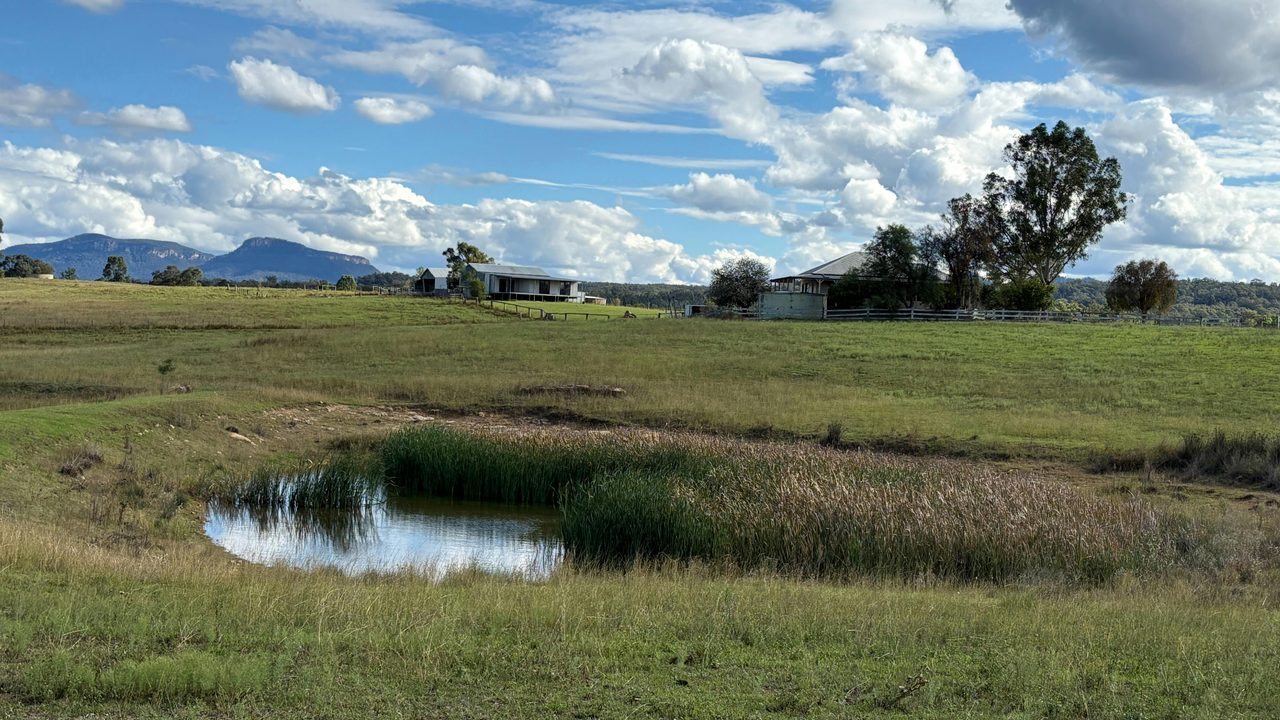 Dam in a paddock of Capertee Mountain View Retreats farm