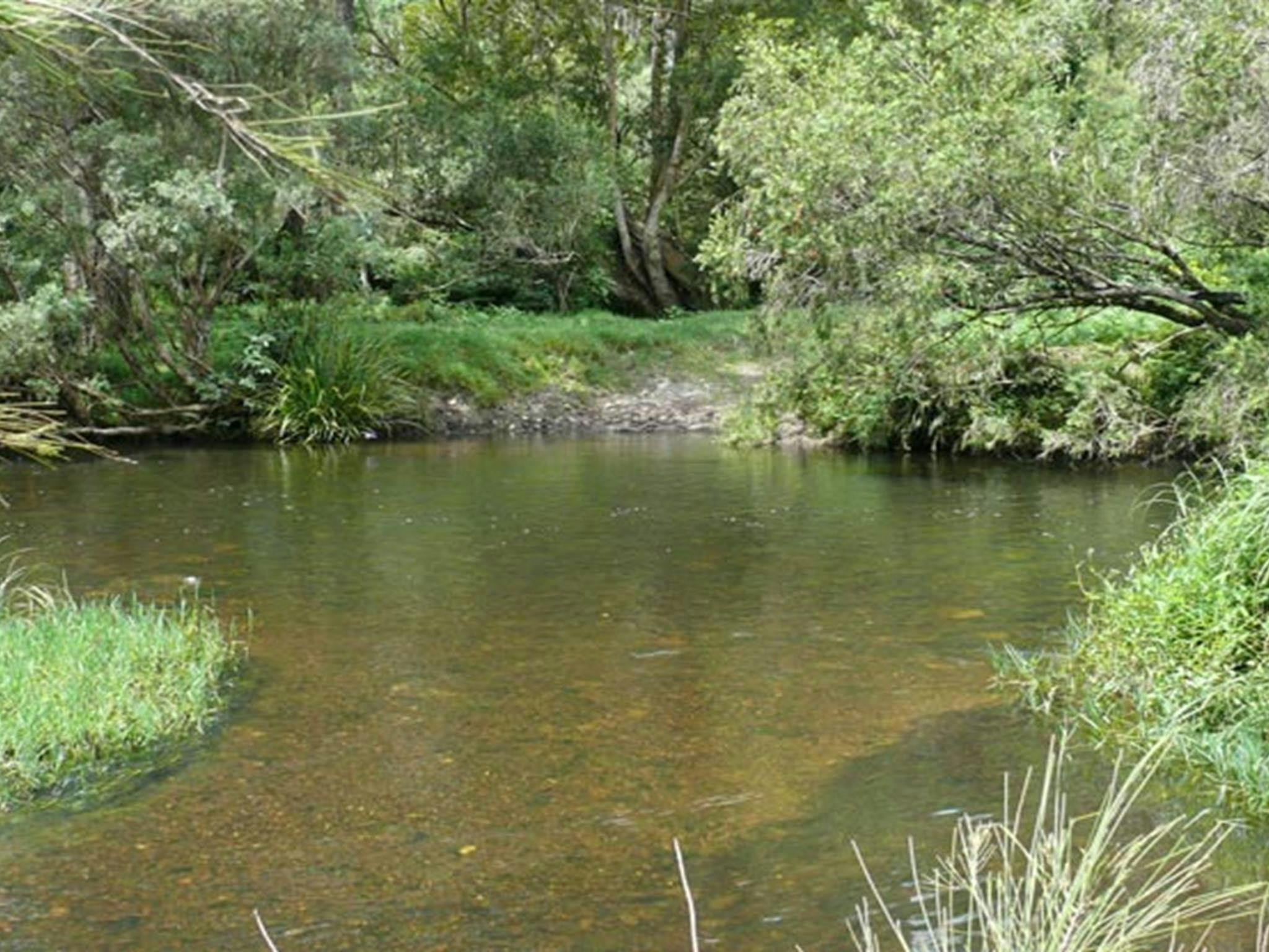 Chandlers Creek Crossing, Chaelundi National Park. Photo: A Ingarfield/NSW Government
