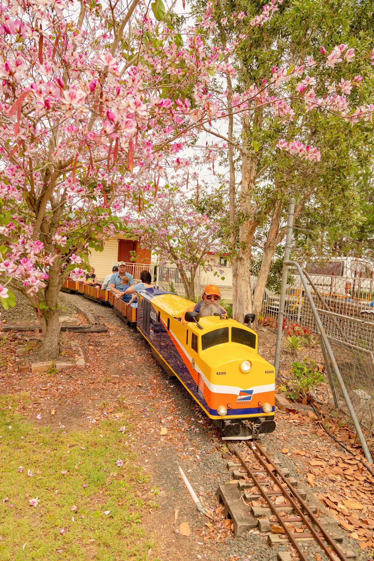 Front of train with families on board.